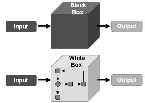 white & black box testing